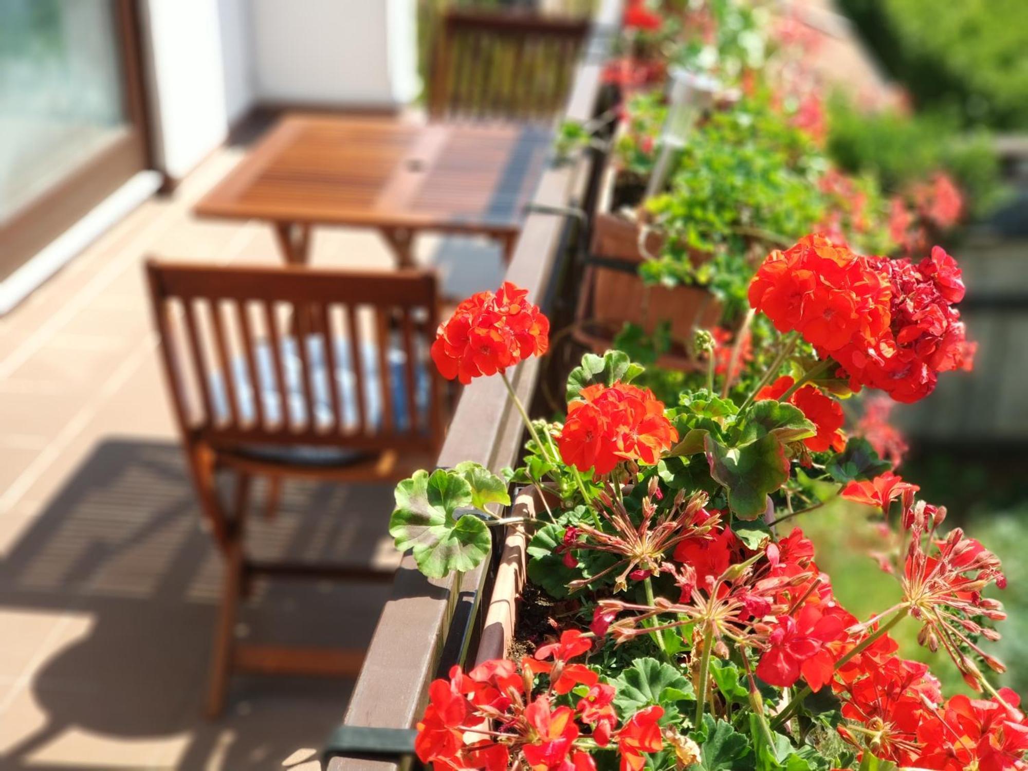 Amelie Apartments 포레치 외부 사진